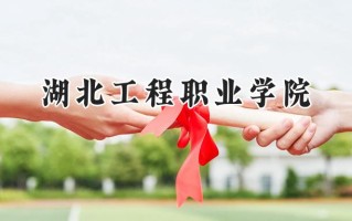 2024湖北工程职业学院录取分数线：河南最低348分