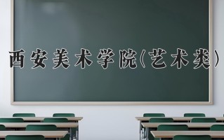 2024年西安美术学院(艺术类)录取分数线，河北最低517分