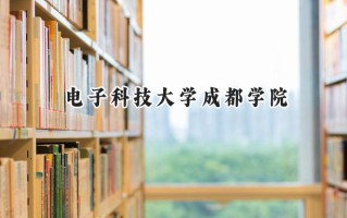 2024电子科技大学成都学院录取分数线：江苏最低476分
