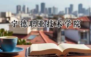 宁德职业技术学院2024在浙江录取分数线是多少？最低433分/最高511分