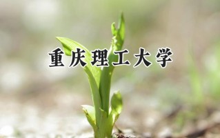 2024重庆理工大学录取分数线：天津最低576分