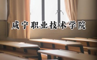 2024咸宁职业技术学院录取分数线：陕西最低327分