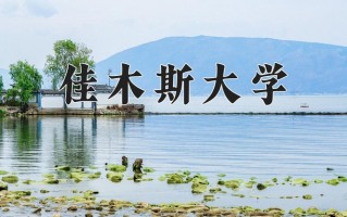 2024年佳木斯大学录取分数线，河北最低513分