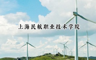 2024上海民航职业技术学院录取分数线：河南最低393分