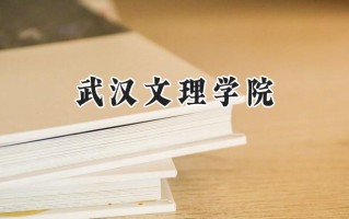 2024武汉文理学院录取分数线：陕西最低429分