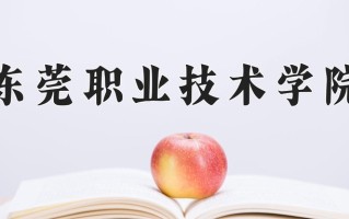 2024年东莞职业技术学院录取分数线，河北最低406分