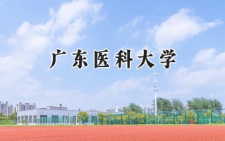 广东医科大学2024在山东录取分数线是多少？最低512分/最高602分
