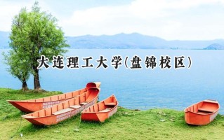 2024大连理工大学(盘锦校区)录取分数线：新疆最低517分