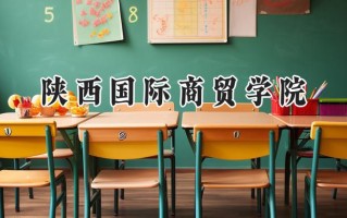 陕西国际商贸学院2024在青海录取分数线是多少？最低248分/最高398分