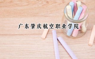 广东肇庆航空职业学院2024在青海录取分数线是多少？最低170分/最高269分