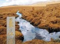 长江的发源地和终点在哪里 长江的源头和终点分别在何处？