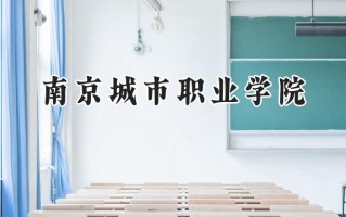 2024南京城市职业学院录取分数线：山西最低356分