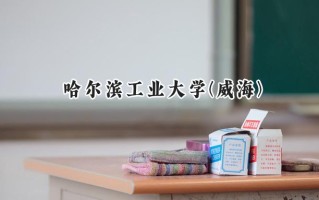 2024哈尔滨工业大学(威海)录取分数线：江苏最低616分