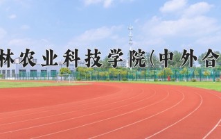 2025年河南高考430分可以上什么大学？附可以上的院校名单