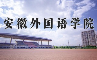 2024年安徽外国语学院录取分数线，河北最低453分