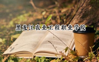 黑龙江农业工程职业学院2024在青海录取分数线是多少？最低267分/最高330分