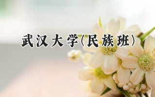 2024武汉大学(民族班)录取分数线：宁夏最低507分
