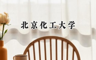 北京化工大学2024在新疆录取分数线是多少？最低502分/最高534分