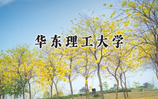 2024华东理工大学录取分数线：新疆最低516分