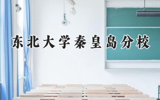 东北大学秦皇岛分校2024在新疆录取分数线是多少？最低496分/最高539分