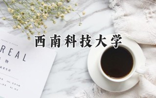 2024西南科技大学录取分数线：宁夏最低422分