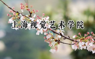 上海视觉艺术学院2024在上海录取分数线是多少？最低431分/最高441分