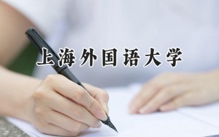 2024上海外国语大学录取分数线：新疆最低507分
