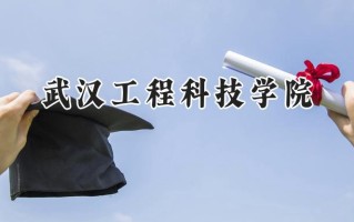 武汉工程科技学院2024在福建录取分数线是多少？最低426分/最高484分