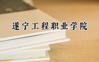 2024遂宁工程职业学院录取分数线：河南最低186分