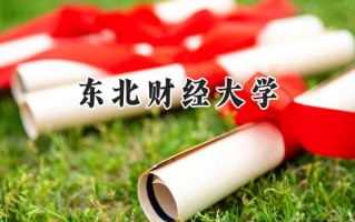 东北财经大学2024在新疆录取分数线是多少？最低429分/最高507分