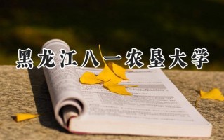 2024黑龙江八一农垦大学录取分数线：江苏最低493分