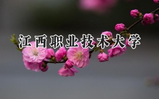 江西职业技术大学2024在青海录取分数线是多少？最低292分/最高353分