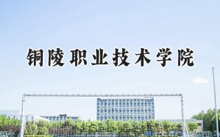 铜陵职业技术学院2024在山东录取分数线是多少？最低386分/最高445分