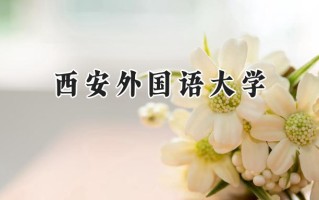 2024西安外国语大学录取分数线：陕西最低478分
