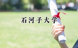 石河子大学2024在上海录取分数线是多少？最低431分/最高501分
