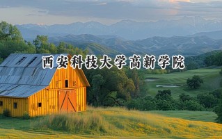 西安科技大学高新学院2024在青海录取分数线是多少？最低284分/最高393分