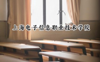 上海电子信息职业技术学院2024在上海录取分数线是多少？最低176分/最高256分