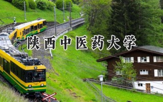 2024陕西中医药大学录取分数线：新疆最低440分