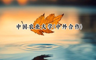 2024中国农业大学(中外合作)录取分数线：河南最低564分