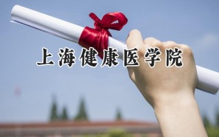 上海健康医学院2024在上海录取分数线是多少？最低257分/最高533分