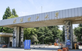 武汉理工大学中外合作分数线（2023年专业录取最低分）