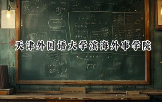 2024天津外国语大学滨海外事学院录取分数线：河南最低422分