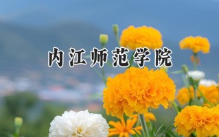 2024内江师范学院录取分数线：江苏最低513分