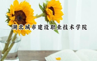湖北城市建设职业技术学院2024在青海录取分数线是多少？最低273分/最高316分