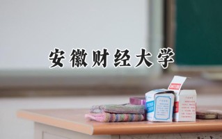 2024安徽财经大学录取分数线：新疆最低390分