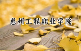 惠州工程职业学院2024在青海录取分数线是多少？最低227分/最高304分