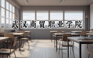 2024武汉商贸职业学院录取分数线：陕西最低306分