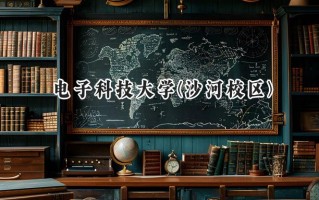 电子科技大学(沙河校区)2024在山东录取分数线是多少？最低584分/最高650分