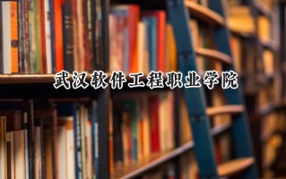 武汉软件工程职业学院2024在青海录取分数线是多少？最低312分/最高376分