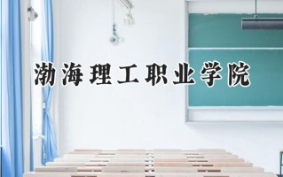 渤海理工职业学院2024在山东录取分数线是多少？最低279分/最高305分